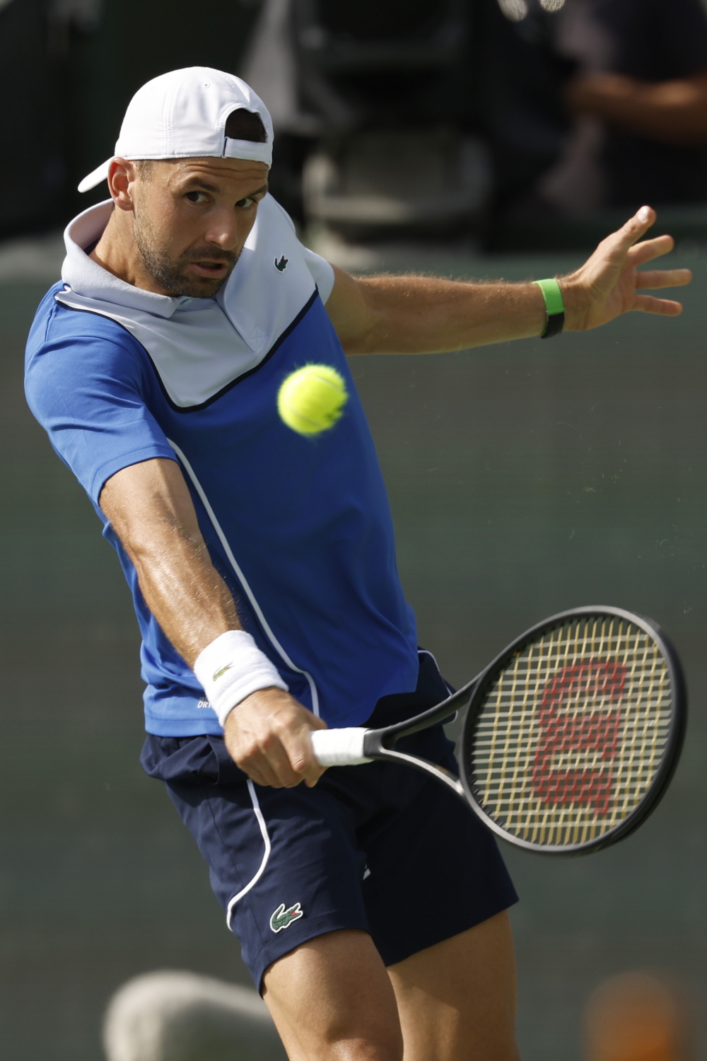 欧洲网球队逆转西班牙网球队，梅德韦杰夫统治全场的简单介绍